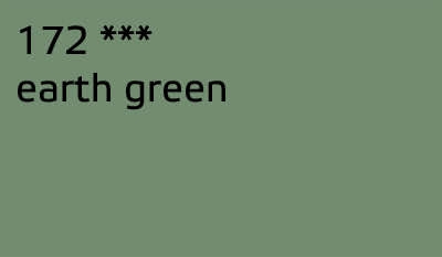 Polychromos_172_earth_green.jpg&width=400&height=500