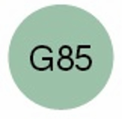 g85.jpg&width=400&height=500