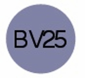 bv25.jpg&width=280&height=500