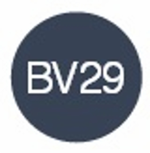 bv29.jpg&width=280&height=500